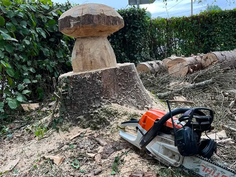 Élagage et préservation d'arbres fruitiers et ornementaux en Sologne par Julien Biron, arboriste Arbo'Ju