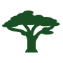 icone arbre acacia