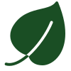 icone feuille – abattage d’arbre en sécurité
