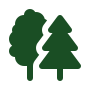 icone forêt – gestion du patrimoine arboré